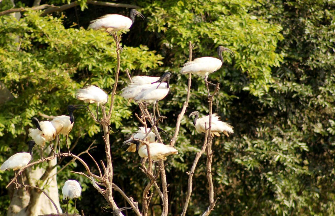 Wasgamu Safari Lodge Wasgamuwa Bagian luar foto