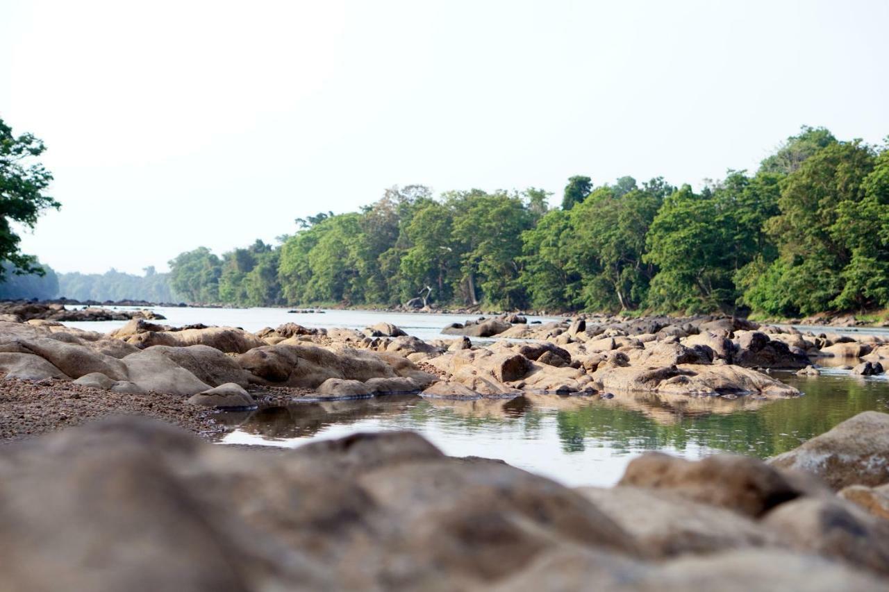 Wasgamu Safari Lodge Wasgamuwa Bagian luar foto