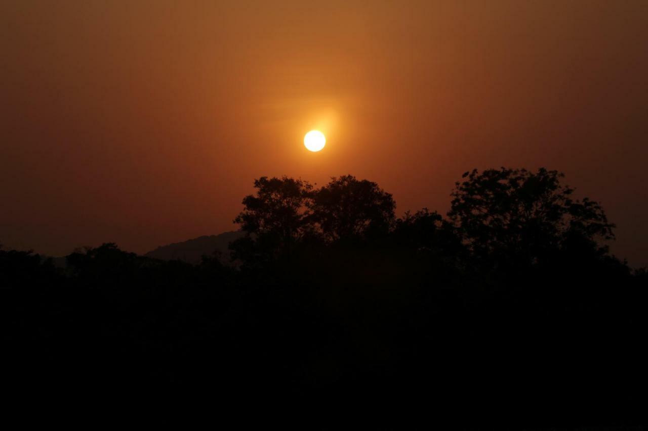 Wasgamu Safari Lodge Wasgamuwa Bagian luar foto