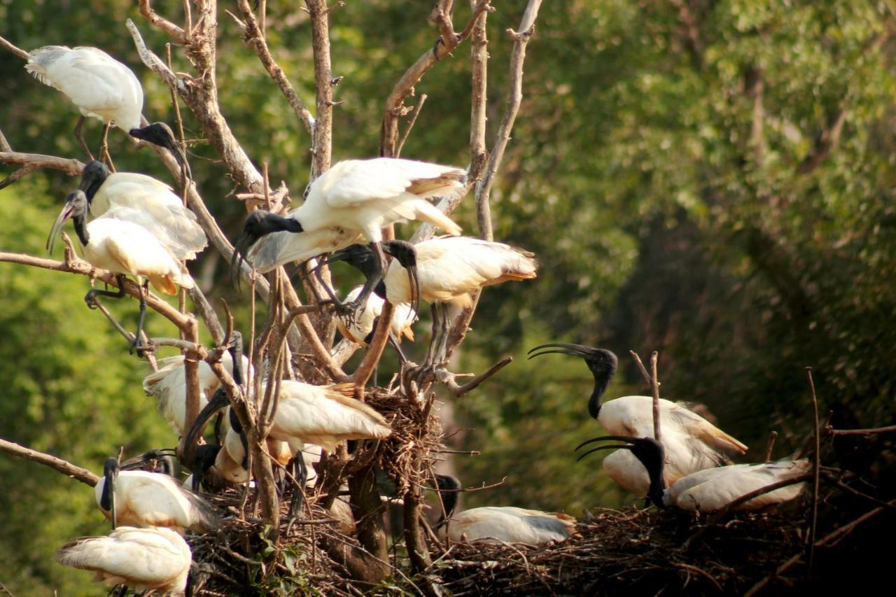 Wasgamu Safari Lodge Wasgamuwa Bagian luar foto