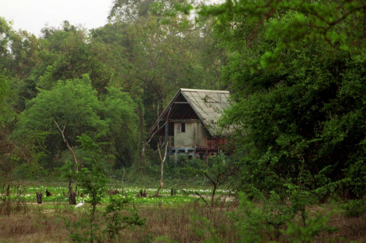 Wasgamu Safari Lodge Wasgamuwa Bagian luar foto