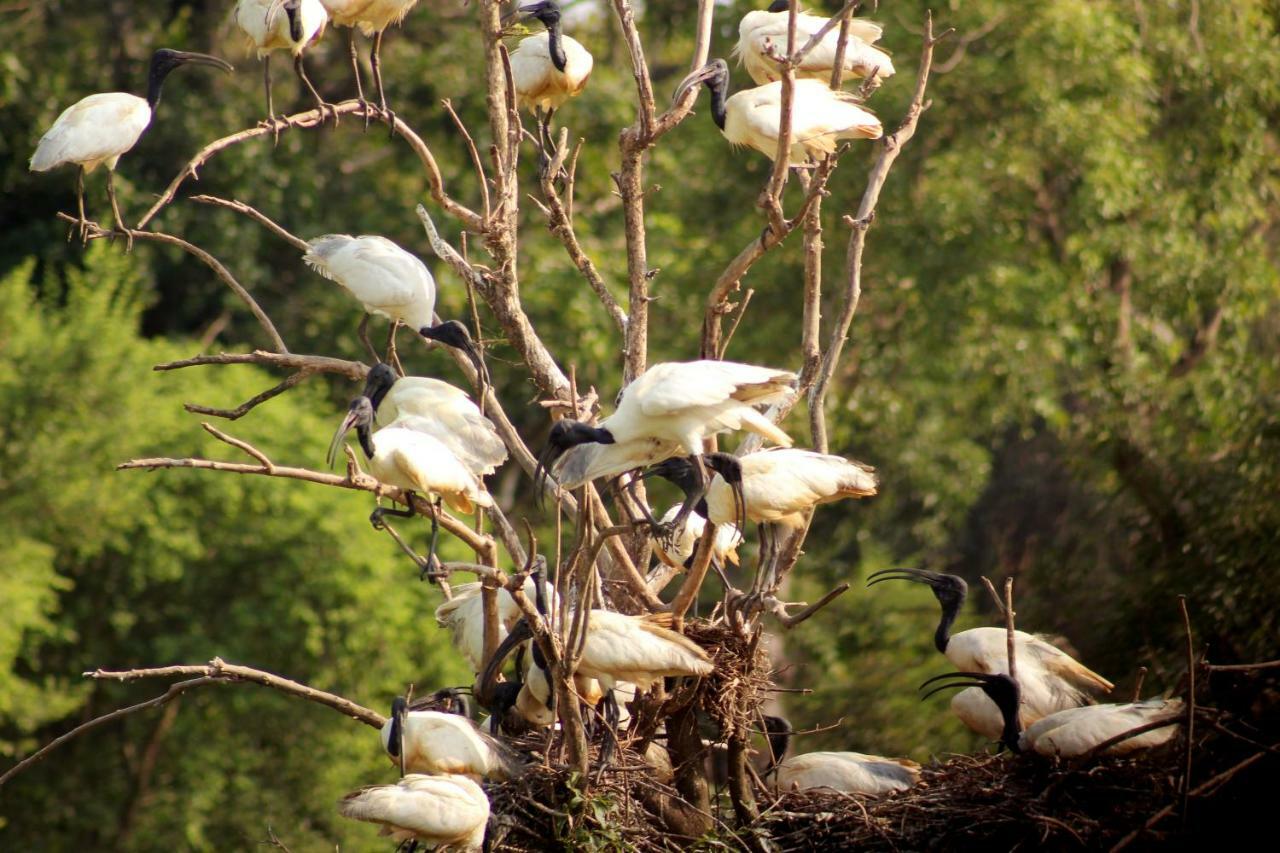 Wasgamu Safari Lodge Wasgamuwa Bagian luar foto