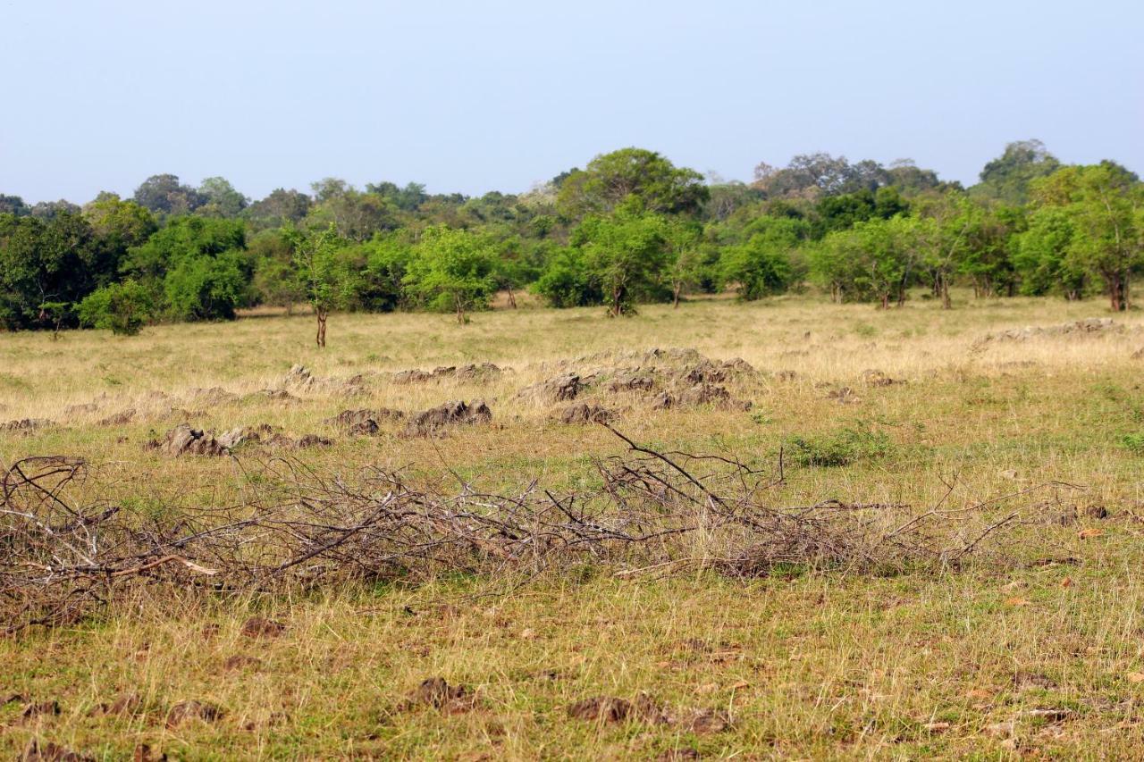 Wasgamu Safari Lodge Wasgamuwa Bagian luar foto
